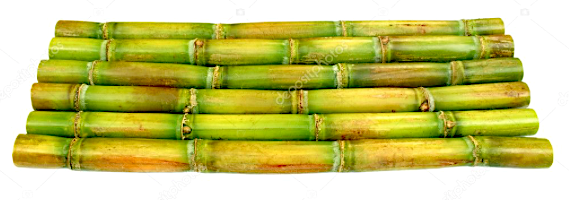 sugar cane.png
